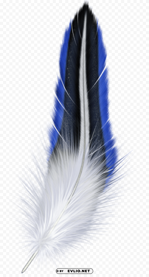blue and white feather PNG Image Isolated with Clear Background clipart png photo - 6e6cf811