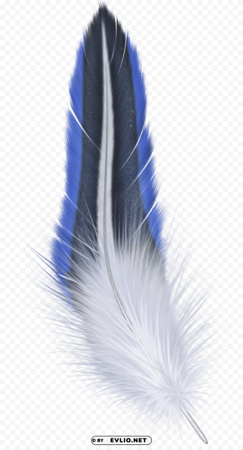 feather Transparent art PNG