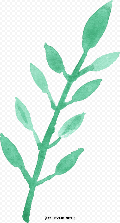 watercolour leaf Isolated Element on Transparent PNG