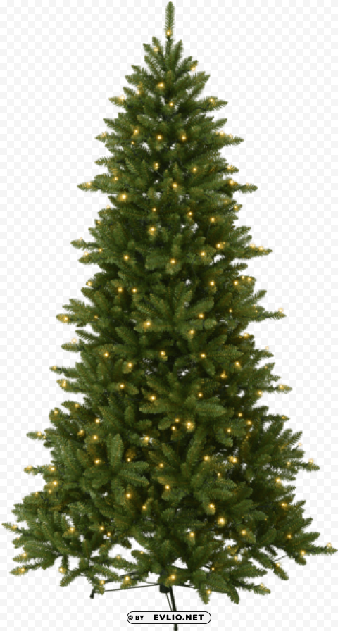 christmas tree w led minnesota - fir christmas tree PNG images no background