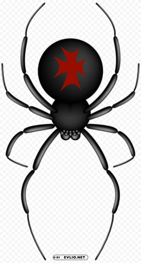 crusader spider transparent PNG pictures without background