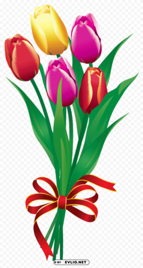 spring tulips bouquetpicture Transparent background PNG photos