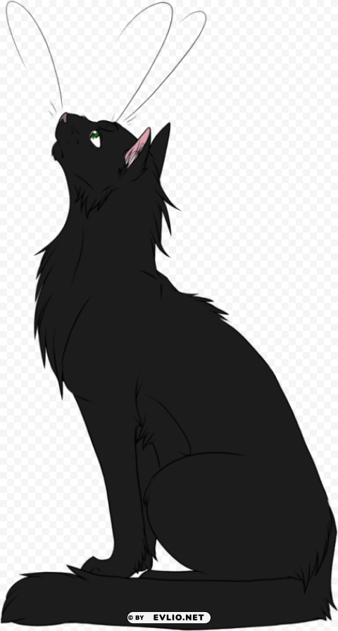 warrior cats deviantart hollyleaf PNG Isolated Illustration with Clarity