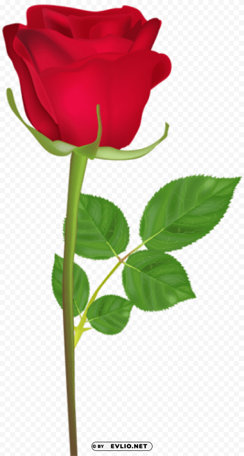 PNG image of rose with stem red Transparent art PNG with a clear background - Image ID f95ad4a1