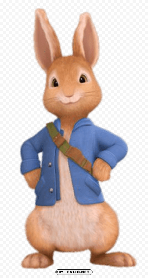 peter rabbit PNG Isolated Illustration with Clear Background