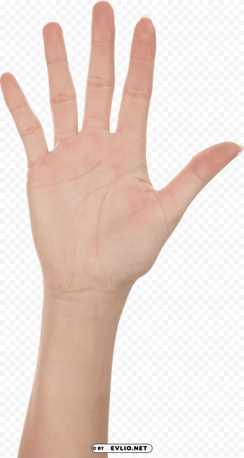 five finger hand Transparent Background PNG Isolated Art