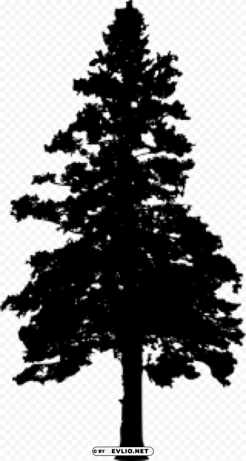 Pine Tree Silhouette PNG with clear background extensive compilation