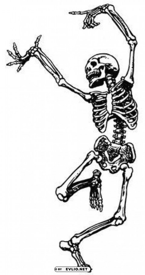vintage halloween fancy skeleton man skeletons PNG graphics