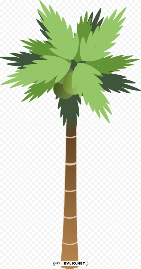 palm tree Transparent PNG Isolated Illustrative Element clipart png photo - 50531549