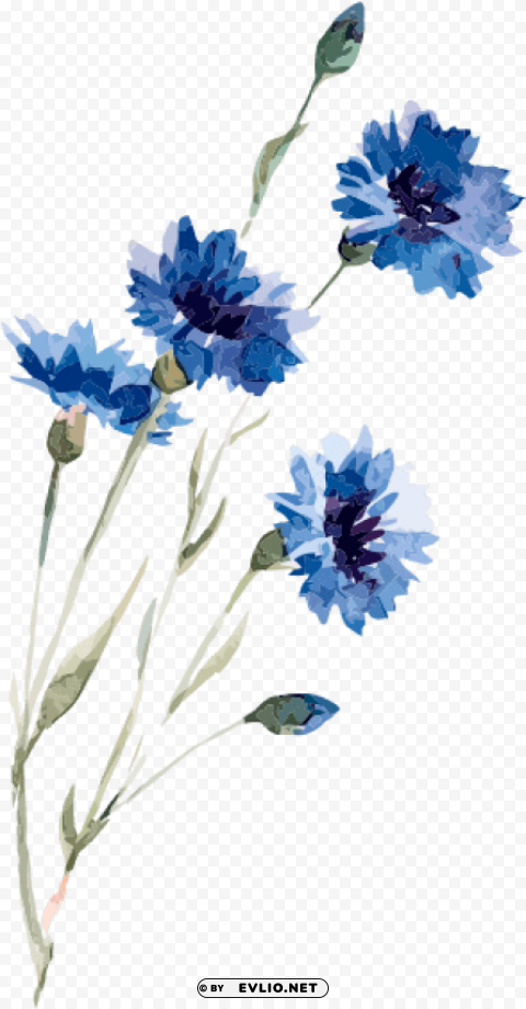 Watercolor Flower Drawing Blue PNG Icons With Transparency
