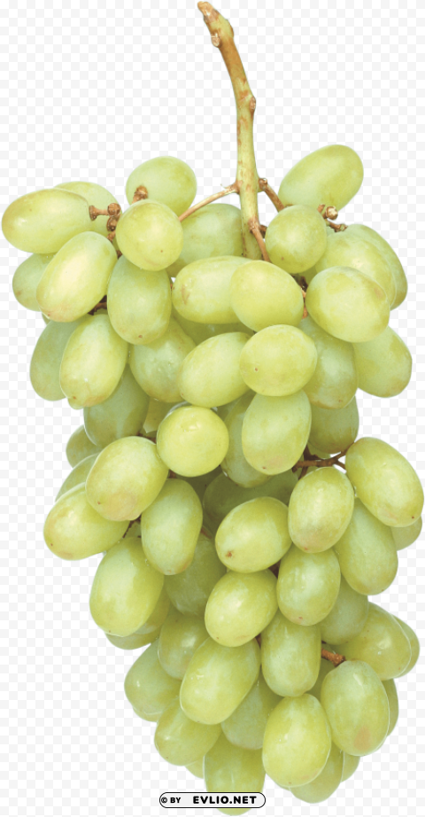 green grapes Isolated Item on Transparent PNG Format