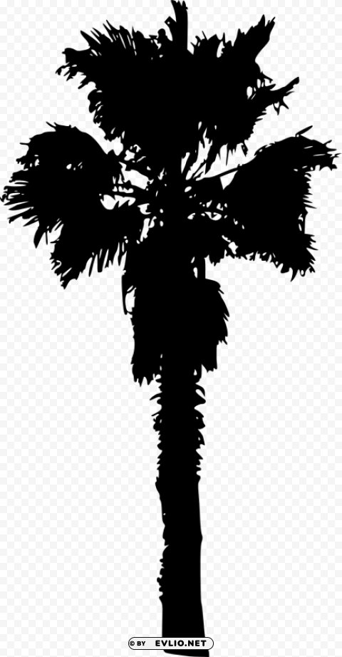 palm tree Isolated Item on Clear Background PNG