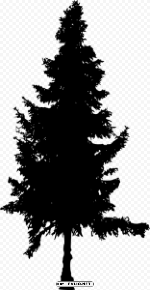 Pine Tree Silhouette PNG With No Bg