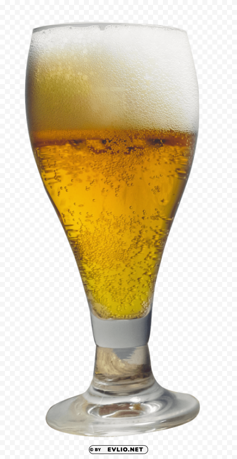 beer glass PNG with no background diverse variety
