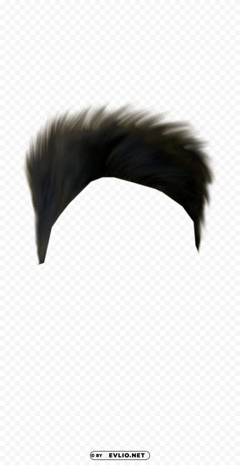 hair image High-definition transparent PNG
