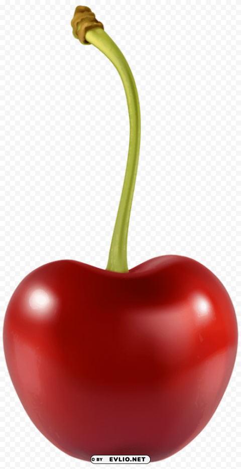 Cherry Isolated Artwork With Clear Background In PNG