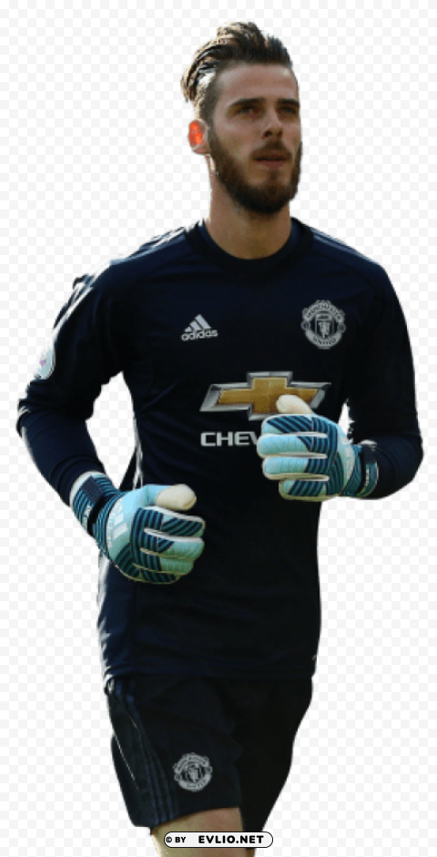 david de gea Transparent PNG Object with Isolation