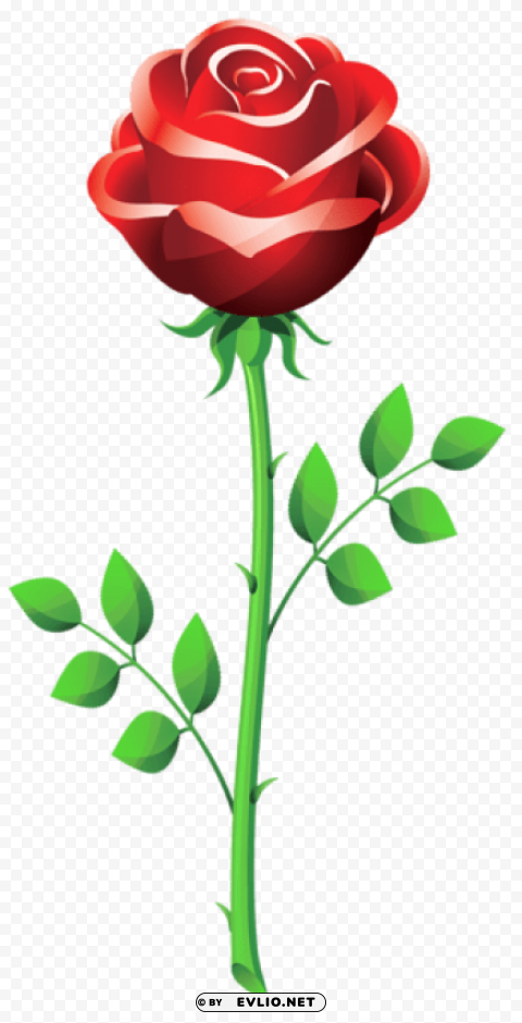 rosepicture PNG for overlays