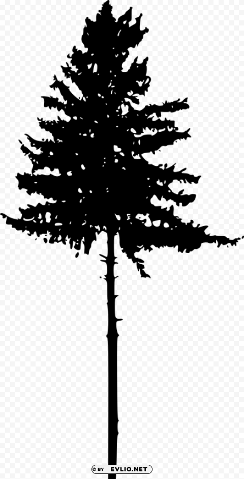 tree ilhouette Isolated Object on Clear Background PNG