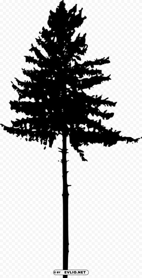 Tree Ilhouette Isolated Object On Clear Background PNG