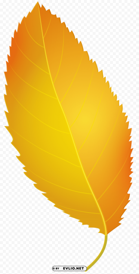 Yellow Autumn Leaf PNG Images With No Fees