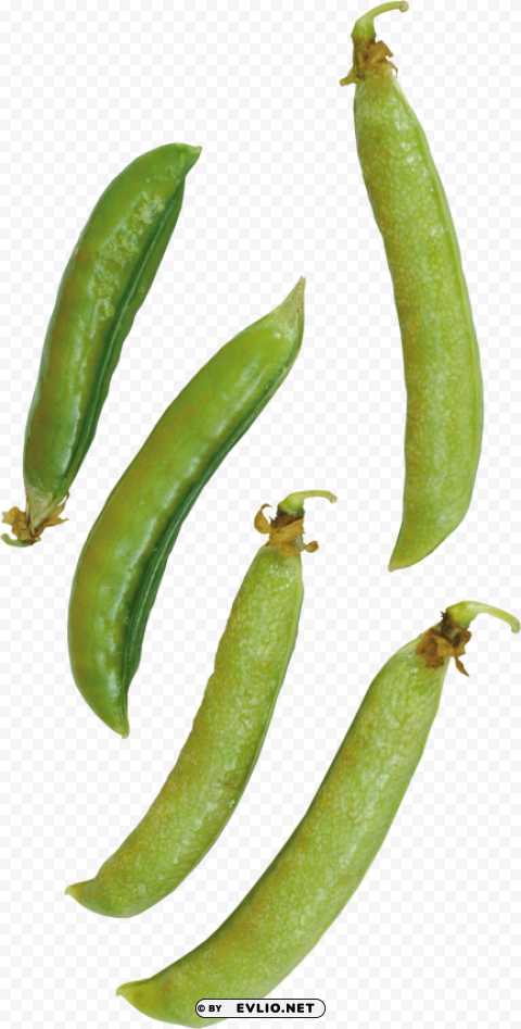 Pea Free PNG Download No Background