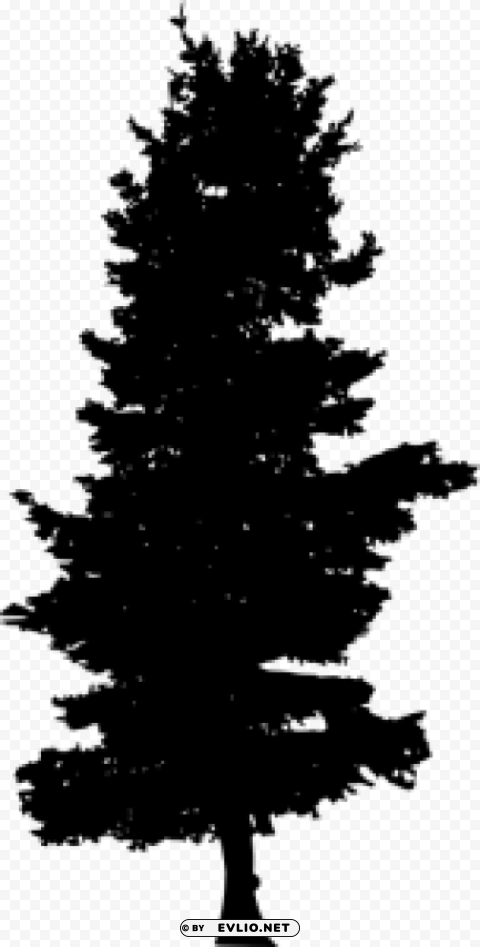 Pine Tree Silhouette PNG with no registration needed