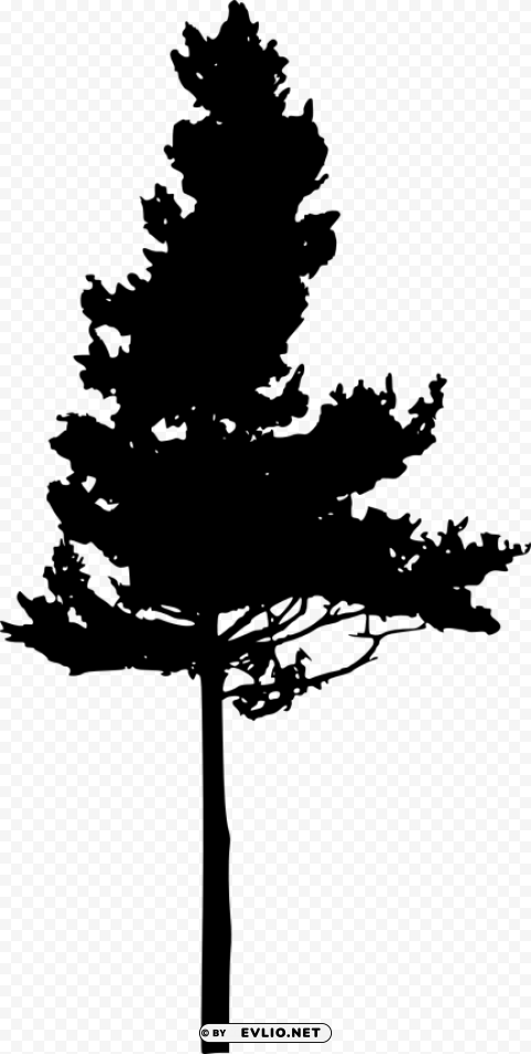 tree silhouette Isolated Subject on HighQuality PNG