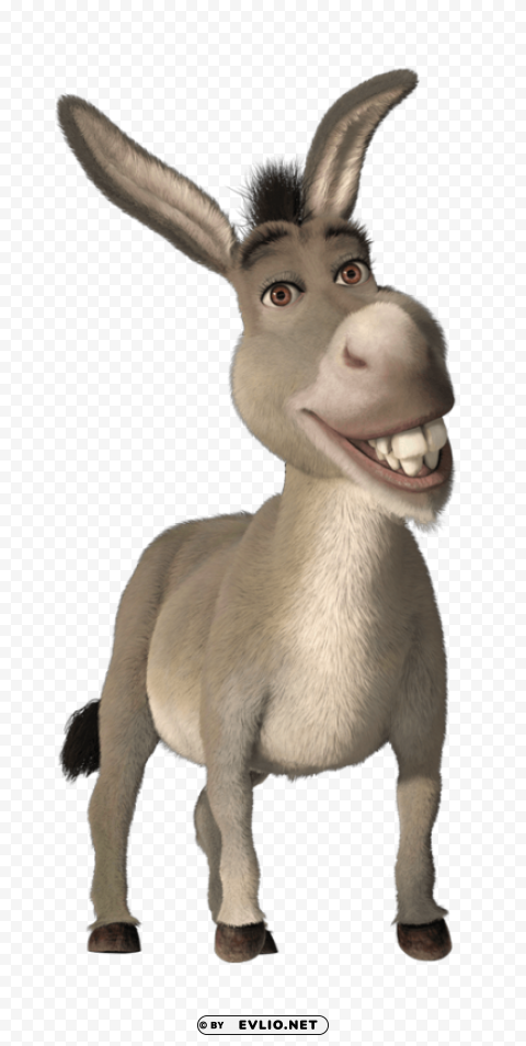 donkey PNG for free purposes