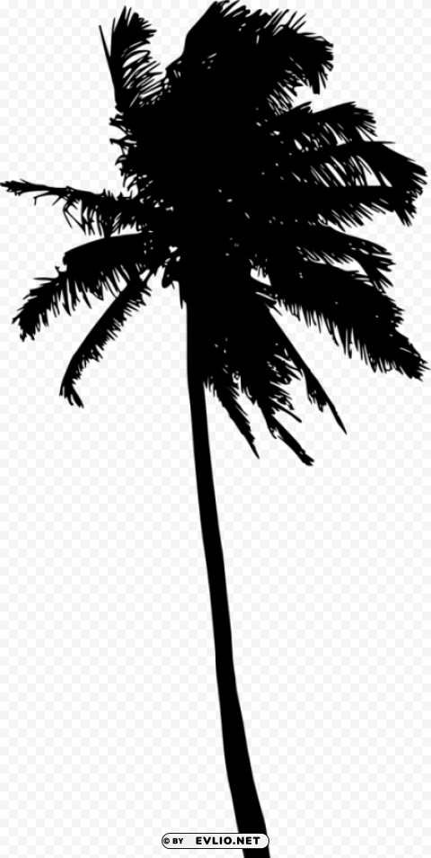 Palm Tree Silhouette Clear Background Isolated PNG Object