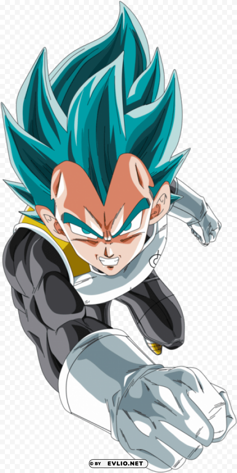 vegeta ssj dios azul Isolated PNG on Transparent Background