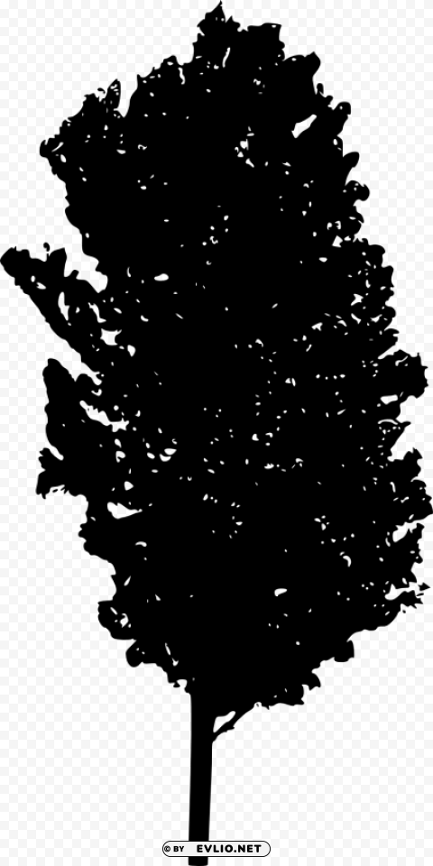 tree ilhouette Isolated Object on Transparent PNG
