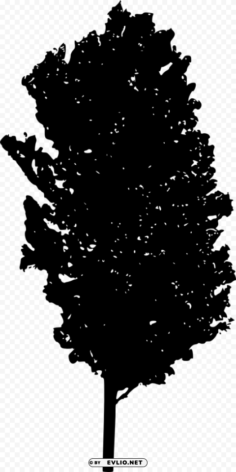 Tree Ilhouette Isolated Object On Transparent PNG