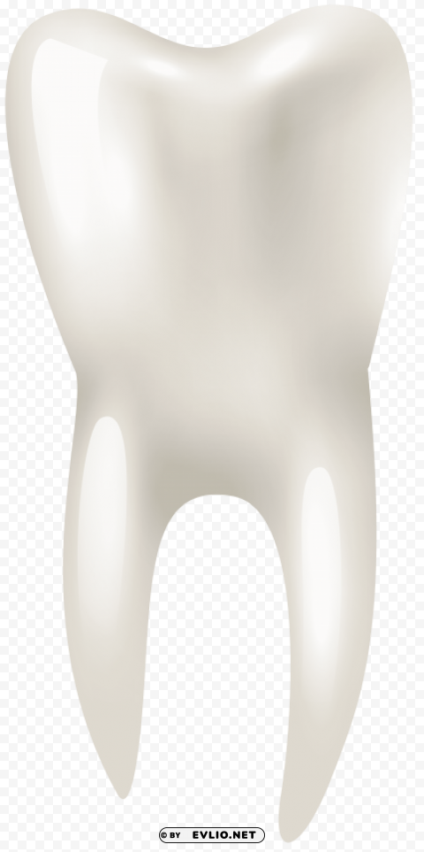 tooth PNG with Transparency and Isolation