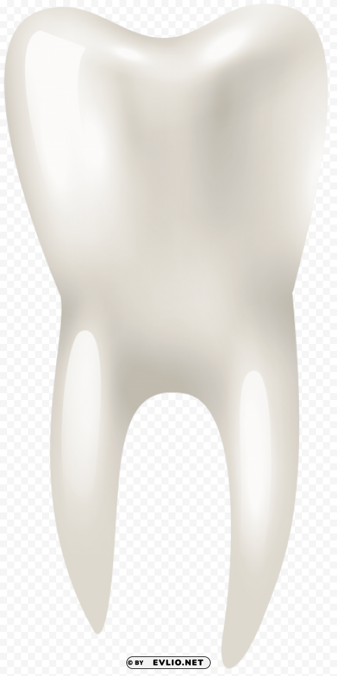 Tooth PNG With Transparency And Isolation