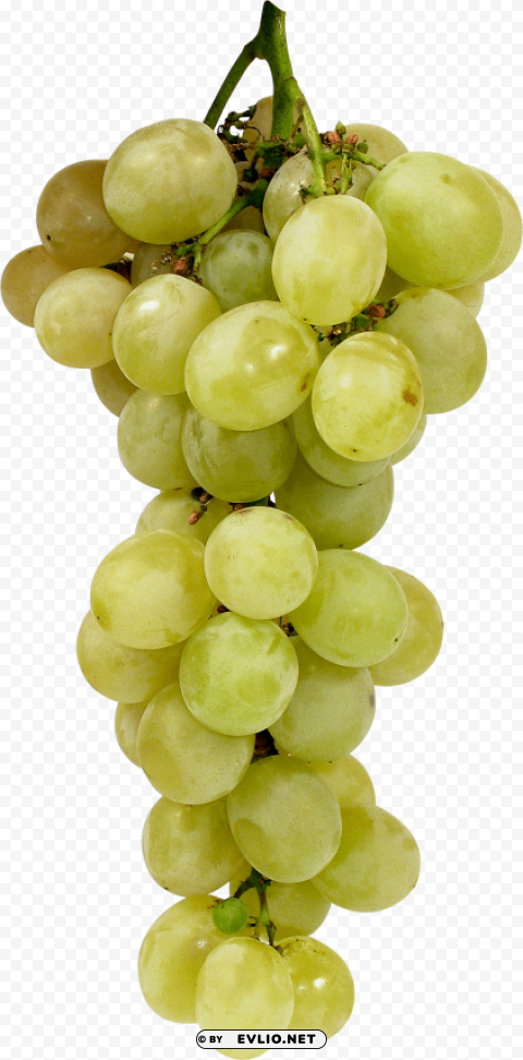 green grapes Transparent Cutout PNG Graphic Isolation