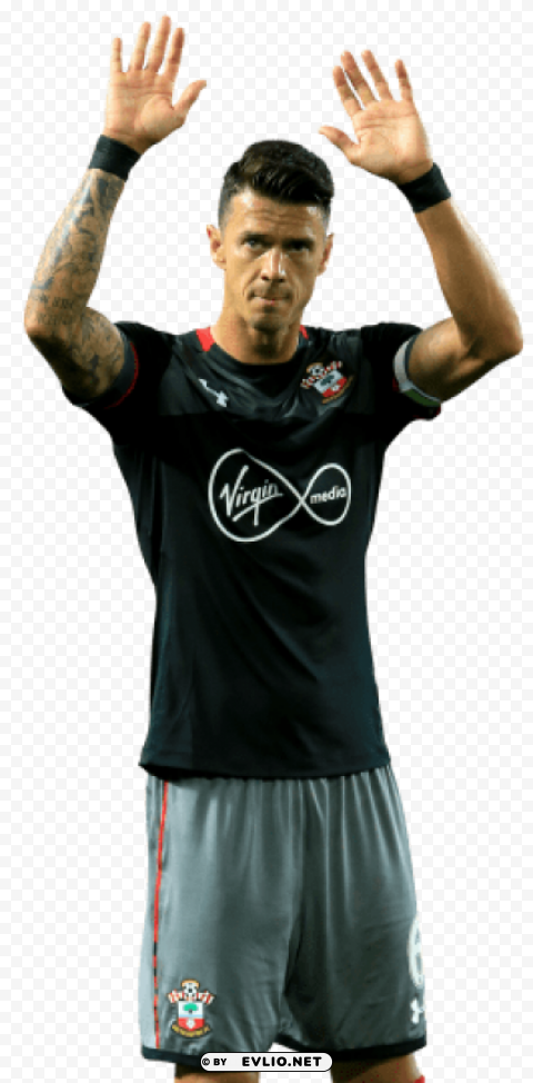 josé fonte PNG Image Isolated on Clear Backdrop