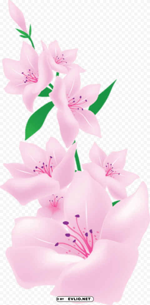 light pink painted flowers Free PNG