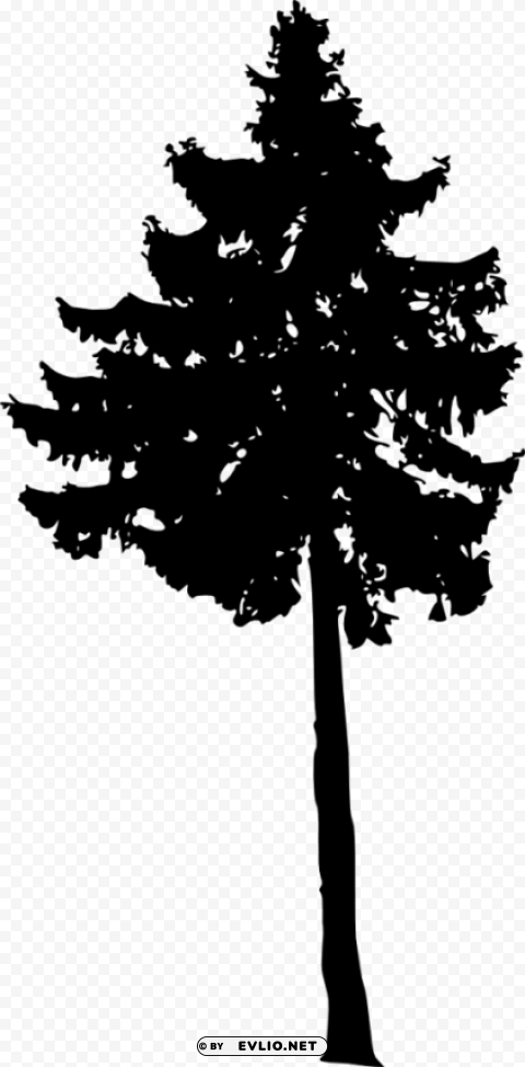 pine tree silhouette Transparent PNG illustrations