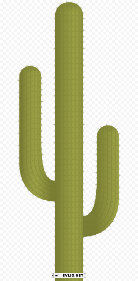 Cactus Plant Vector Isolated Item With HighResolution Transparent PNG