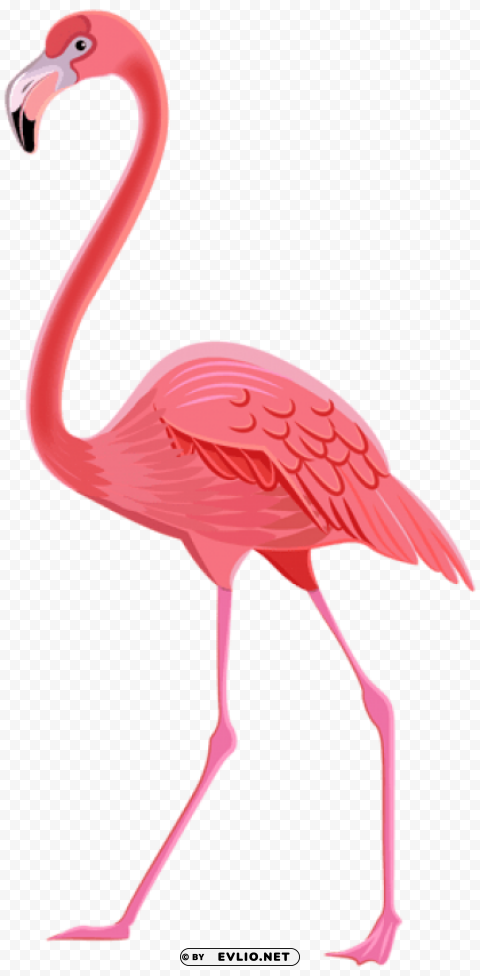 flamingo Free transparent PNG