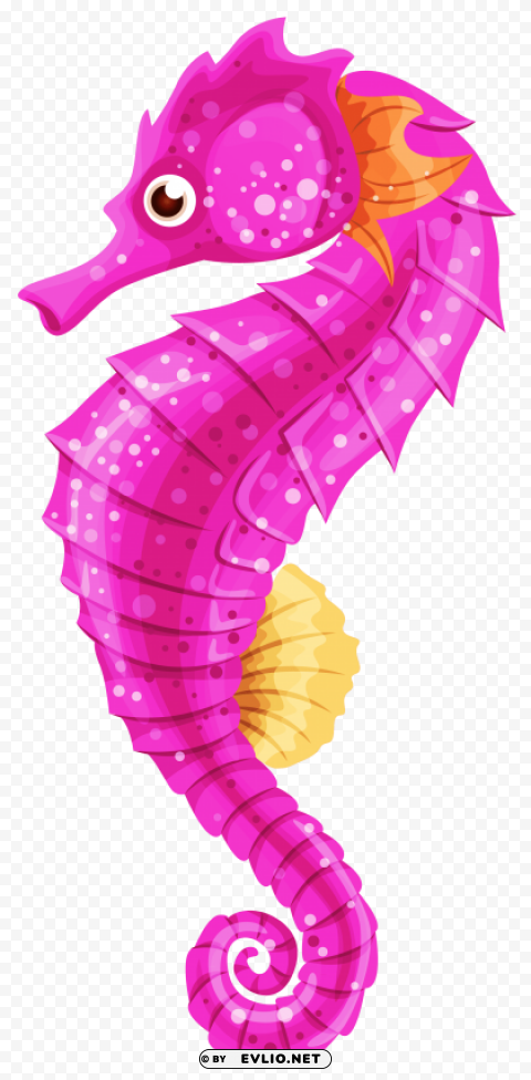 seahorse Clear background PNG images comprehensive package