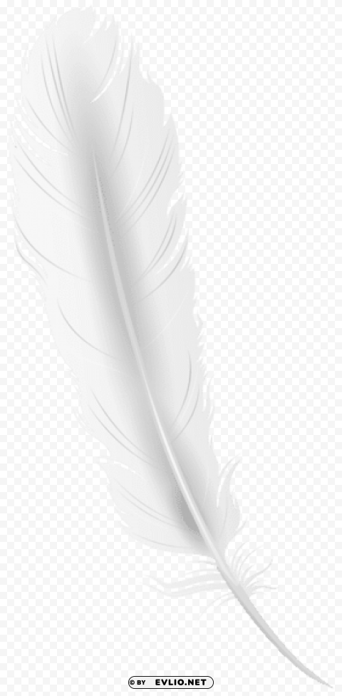 White Feather PNG Images With Alpha Mask