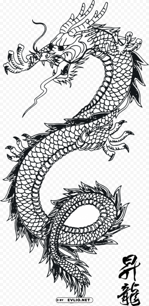 dragon Transparent picture PNG clipart png photo - 1f7eab9d