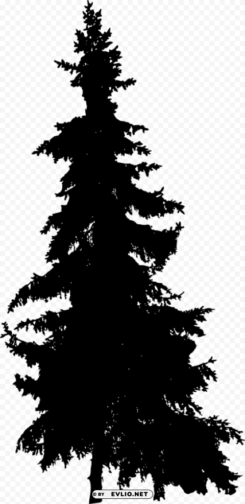 pine tree silhouette Isolated Character in Transparent Background PNG