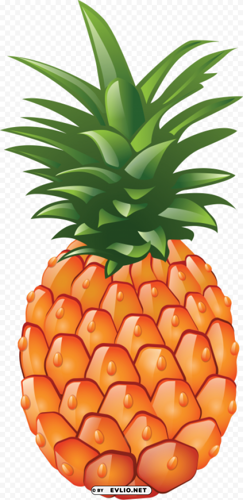pineapple HighQuality PNG with Transparent Isolation clipart png photo - 49d91984