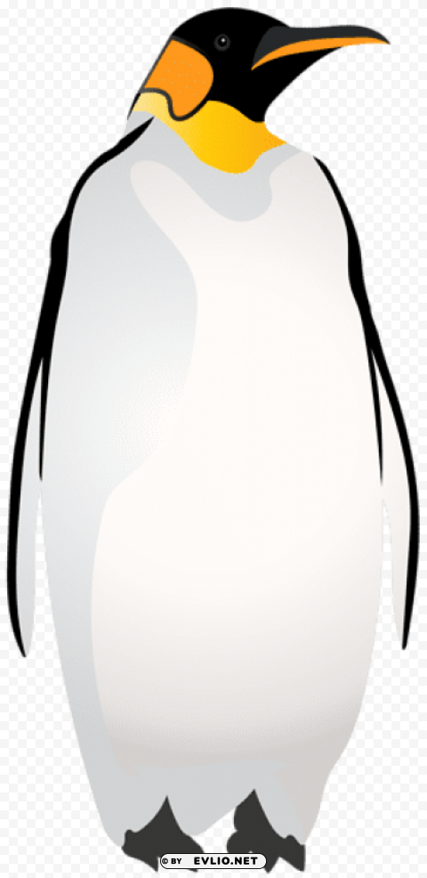 emperor penguin Isolated Design Element in HighQuality Transparent PNG
