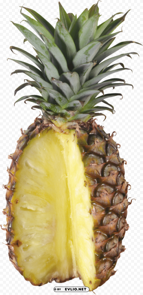 pinapple cut open PNG with clear background extensive compilation