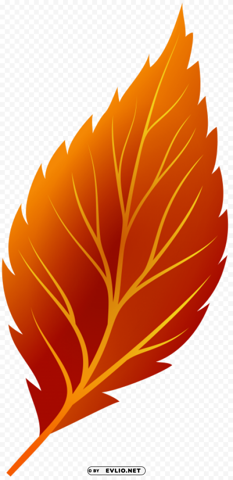 red autumn leaf PNG images with no background comprehensive set