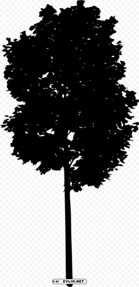 tree silhouette HighResolution Isolated PNG with Transparency